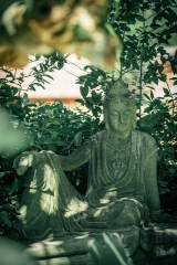 Une statue de Bouddha dans le jardin